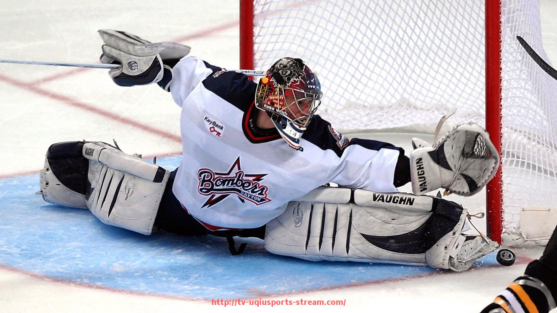 U球体育直播-世俱杯赞助资金审计管理流程及规范要求